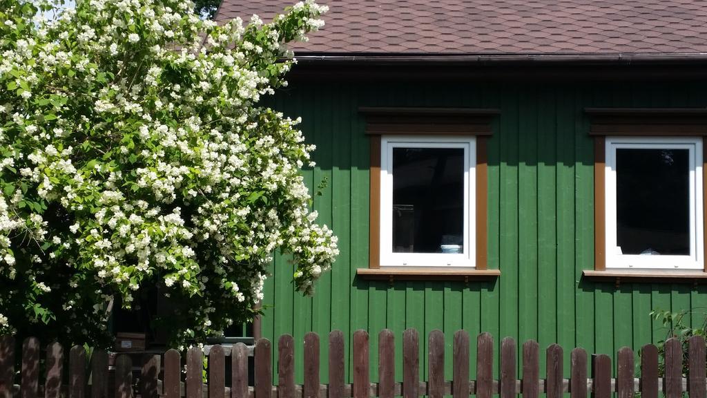 Summer House Ventspils Dış mekan fotoğraf